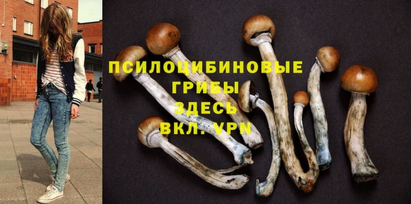 наркотики Алексин