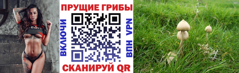 Галлюциногенные грибы MAGIC MUSHROOMS  Вологда 