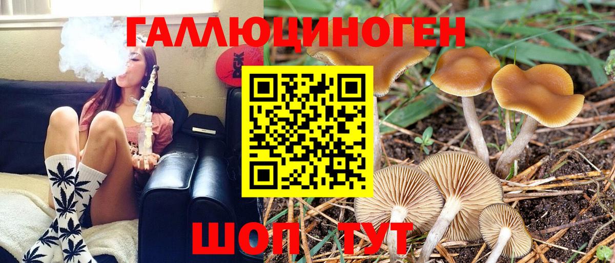 Галлюциногенные грибы мухоморы Вологда