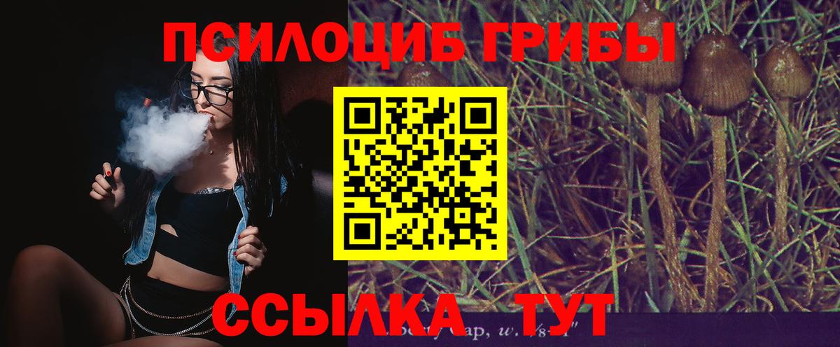 Псилоцибиновые грибы GOLDEN TEACHER  Псилоцибиновые грибы GOLDEN TEACHER  Вход с VPN  Вологда 